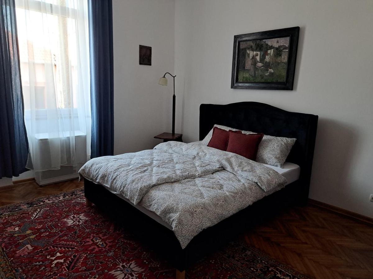 Weisz Apartment-City Center-Free Private Parking,Wifi,Ac Carei Exteriör bild